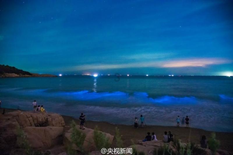 牛仔复仇记