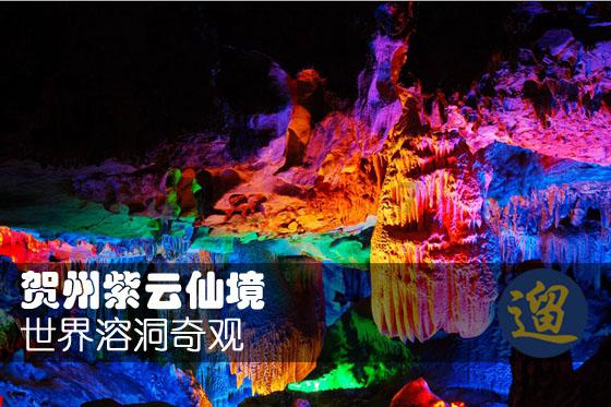大和:予东方甄选“持有”评级 中期盈利逊于预期