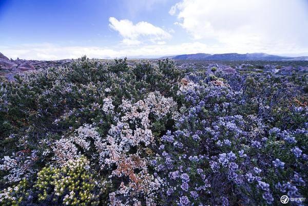 华润医药:华润三九预期2023年归母净利增至28.18亿至30.65亿元