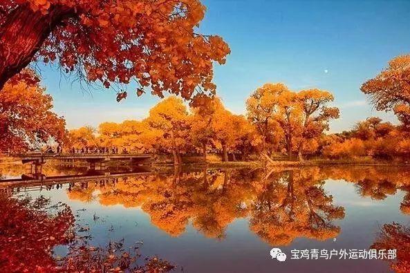 张雪峰自掏12万：现场下单300份年货礼盒送员工父母 一个也不能少