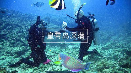 废弃的高楼逃脱2