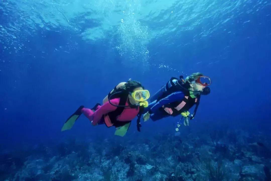 豪华别墅找不同