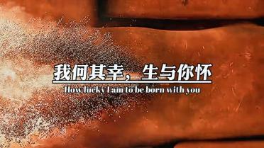 春满中原老家河南!春节期间景区免费还送大礼包!乖乖们来河南过大年!