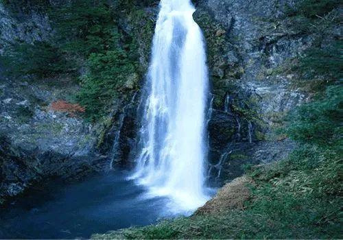 缤纷水果茶无敌版