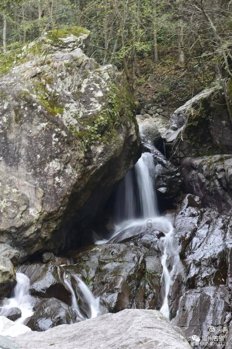 出狱不到24小时开始作案，赤峰红山公安破获系列盗窃沿街商铺案