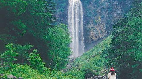 美团张川：黑珍珠餐厅评选注重本地食材，将有更多大众餐厅入选