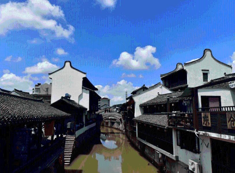 动物帮帮忙保卫家园