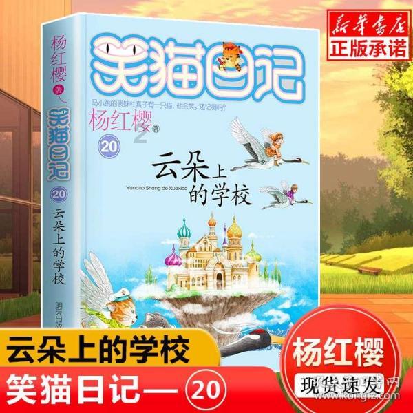 霍奇森:理解球迷的标语,并没有因缺少资金的支持而感到沮丧
