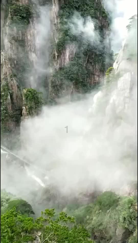 拯救蝙蝠家族